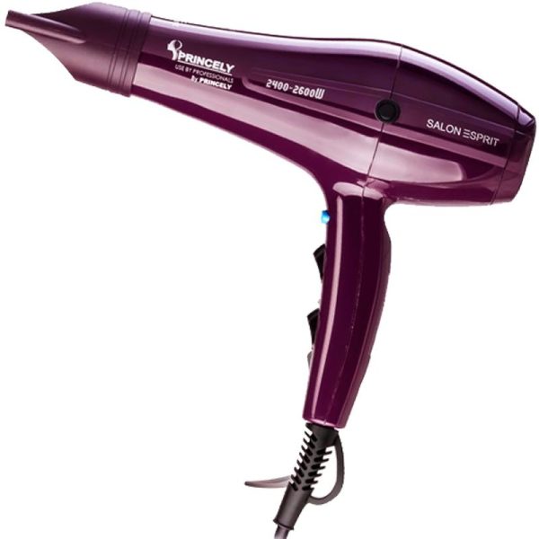 سشوار PRINCELY مدل PR250AT