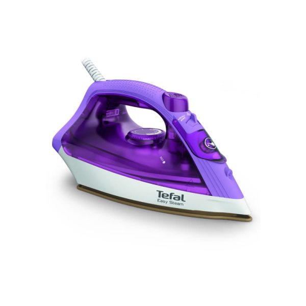 اتوبخار دستی تفال TefaL مدل FV1955